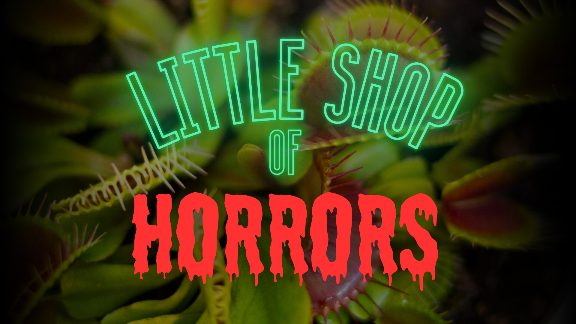 Title text: Little Shop of Horrors, overlaid over a photograph of voracious carnivorous plants